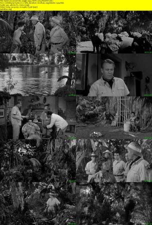 Lord of the Jungle 1955 HDTV x264-REGRET
