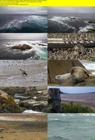 Smithsonian Earth - Wild Wild East: Series 1 (2017) 1080p HDTV x264 AAC MVGroup