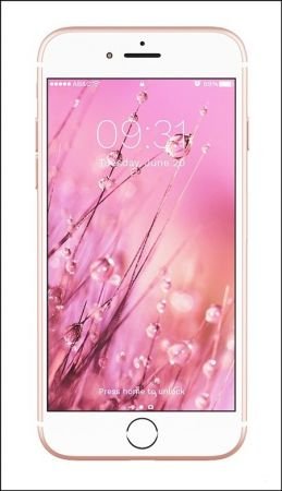 iPhone Plus Gold Pink