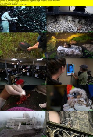 Smithsonian Earth - Great Lakes Wild: Series 1 (2017) 1080p HDTV x264 AAC MVGroup
