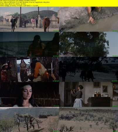 Geronimo 1962 BRRip XviD MP3-XVID