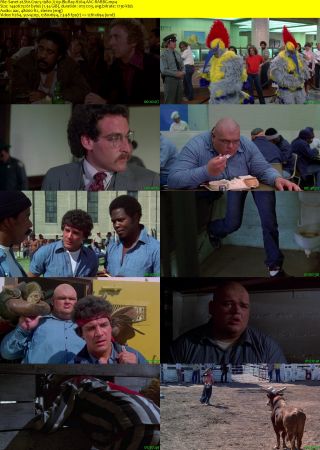 Stir Crazy 1980 720p BluRay H264 AAC-RARBG