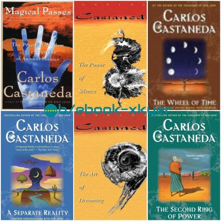 The Teachings of Don Juan series by Carlos Castaneda