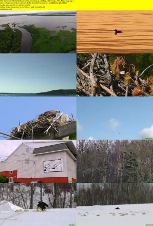 Smithsonian Earth - Wild Wild East: Series 1 (2017) 1080p HDTV x264 AAC MVGroup