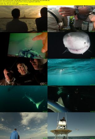 Discovery - Shark Week: Bloodline The Spawn of Jaws (2018) 1080p WEB x264-CAFFEiNE