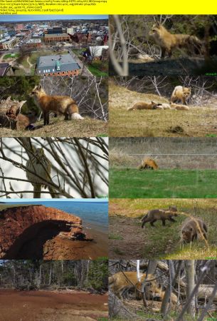 Smithsonian Earth - Wild Wild East: Series 1 (2017) 1080p HDTV x264 AAC MVGroup