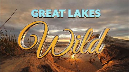 Smithsonian Earth - Great Lakes Wild: Series 1 (2017) 1080p HDTV x264 AAC MVGroup