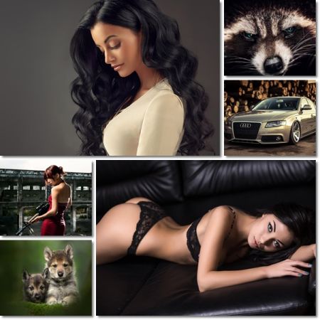 Beautiful Wallpapers Pack 1152