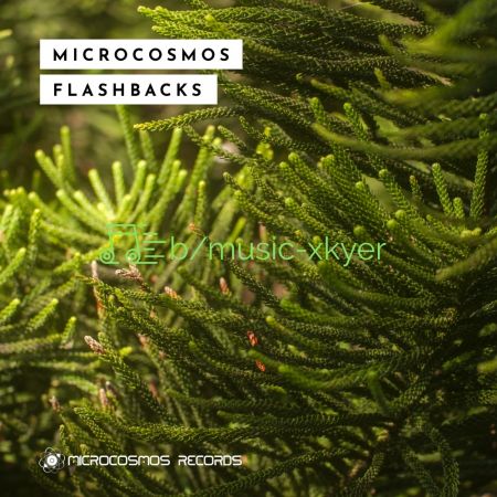 VA - Microcosmos Flashbacks (2018)