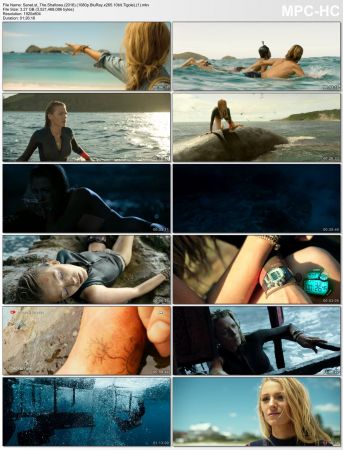 The Shallows 2016 1080p BluRay x265 HEVC 10bit AAC 5.1 Tigole QxR