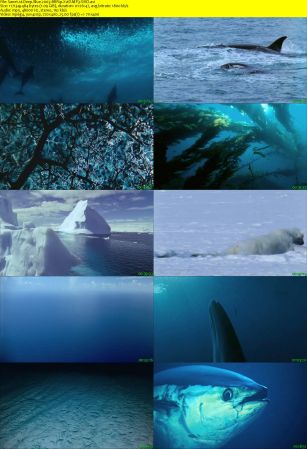 Deep Blue 2003 BRRip XviD MP3-XVID
