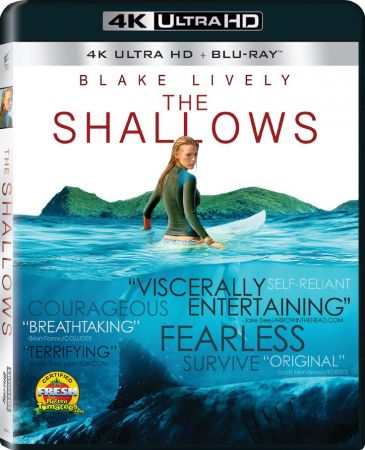 The Shallows 2016 2160p BluRay x265 HEVC 10bit HDR AAC 7.1 Tigole QxR
