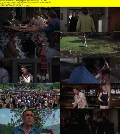 A Walk in the Spring Rain 1970 HDTV x264-REGRET