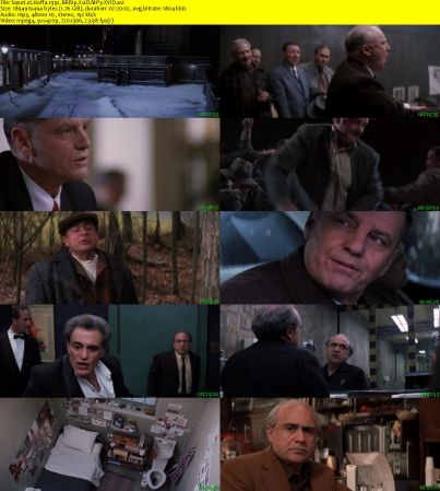Hoffa 1992 BRRip XviD MP3-XVID