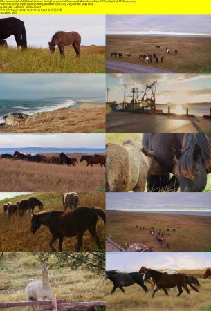 Smithsonian Earth - Wild Wild East: Series 1 (2017) 1080p HDTV x264 AAC MVGroup