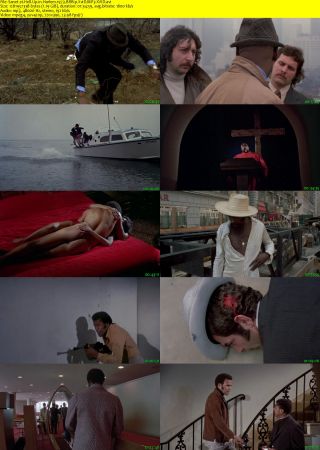 Hell Up in Harlem 1973 BRRip XviD MP3-XVID