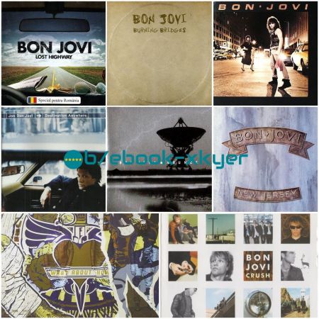 Bon Jovi Collection (1984-2015) LP FLAC