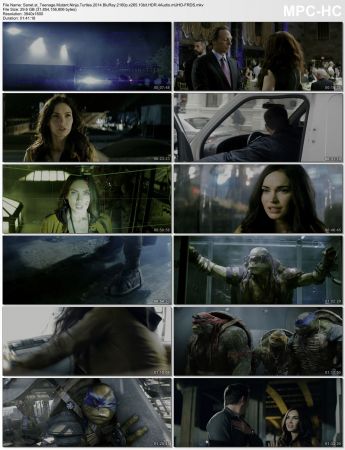 Teenage Mutant Ninja Turtles 2014 BluRay 2160p x265 10bit HDR 4Audio mUHD-FRDS