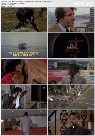 Hell Up in Harlem 1973 BDRip 10Bit 1080p DD2.0 H265-d3g