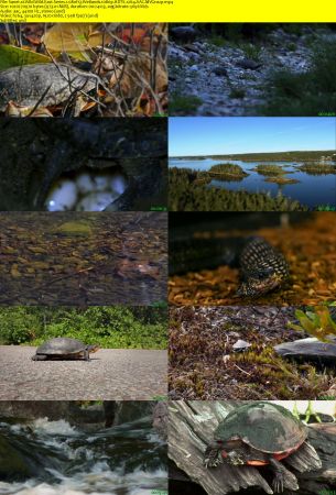 Smithsonian Earth - Wild Wild East: Series 1 (2017) 1080p HDTV x264 AAC MVGroup