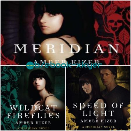 Fenestra series by Amber Kizer