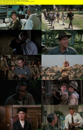Follow Me Boys 1966 WEBRip x264-ION10