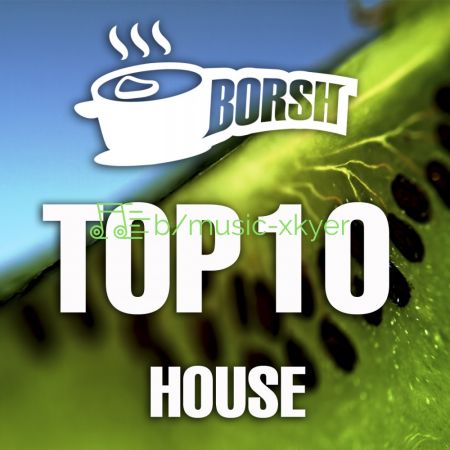 VA - Borsh Top 10 House (2018)