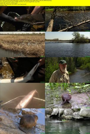 Smithsonian Earth - Great Lakes Wild: Series 1 (2017) 1080p HDTV x264 AAC MVGroup