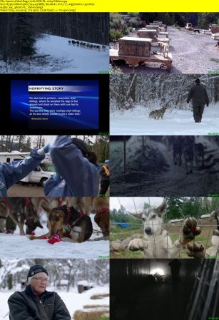 Sled Dogs 2016 WEB-DL x264-ION10