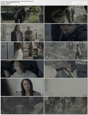 Rampage 2018 2160p UHD BluRay x265-TERMiNAL