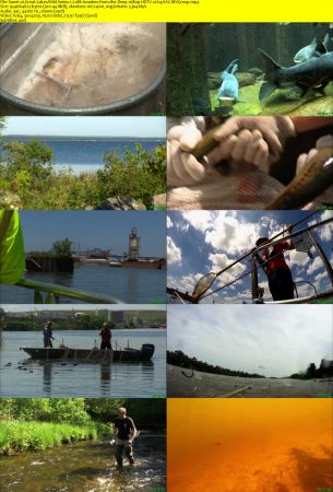 Smithsonian Earth - Great Lakes Wild: Series 1 (2017) 1080p HDTV x264 AAC MVGroup