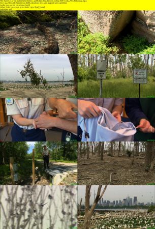 Smithsonian Earth - Great Lakes Wild: Series 1 (2017) 1080p HDTV x264 AAC MVGroup