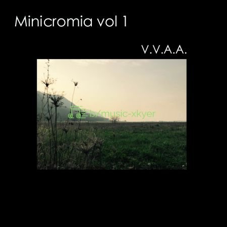VA - Minicromia Vol.1 (2018)