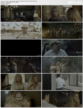 Snatched 2017 BluRay 2160p x265 10bit HDR mUHD-FRDS
