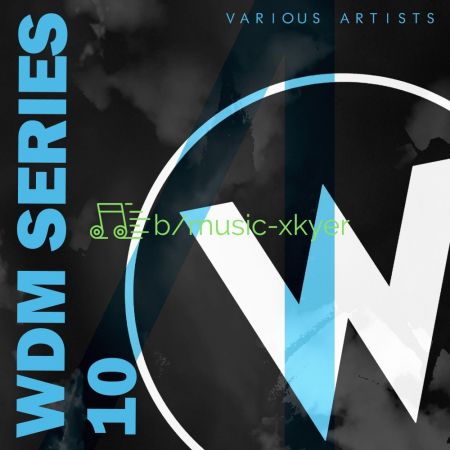 VA - WDM Series 10 (2018)