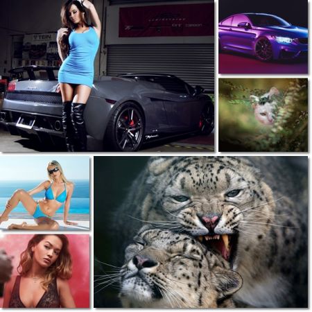 Picture Wallpaper Pack 1157