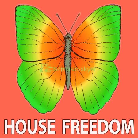 VA - House Waterfall (2018)