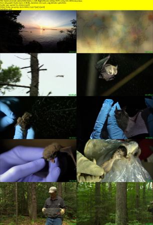 Smithsonian Earth - Great Lakes Wild: Series 1 (2017) 1080p HDTV x264 AAC MVGroup