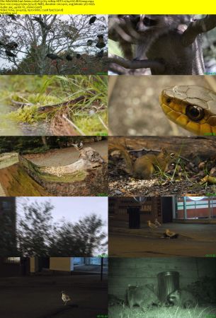 Smithsonian Earth - Wild Wild East: Series 1 (2017) 1080p HDTV x264 AAC MVGroup