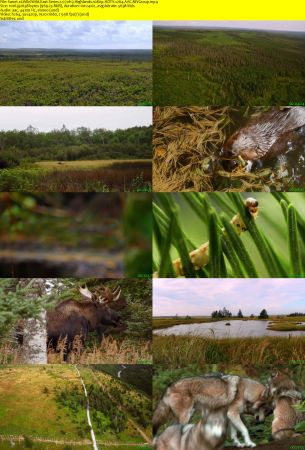 Smithsonian Earth - Wild Wild East: Series 1 (2017) 1080p HDTV x264 AAC MVGroup