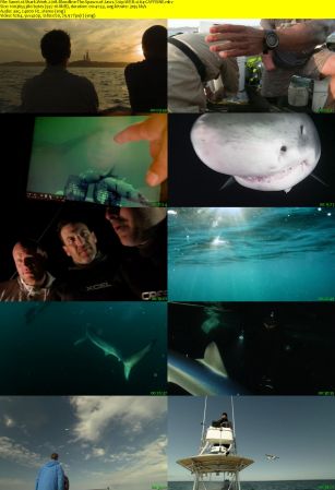 Discovery - Shark Week: Bloodline The Spawn of Jaws (2018) 720p WEB x264-CAFFEiNE