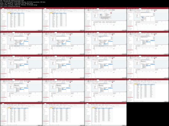 Access 2016 Queries in Depth