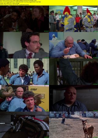 Stir Crazy 1980 1080p BluRay H264 AAC-RARBG