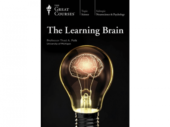 The Learning Brain