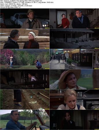 A Walk in the Spring Rain 1970 DVDRip MP3 XviD-KG