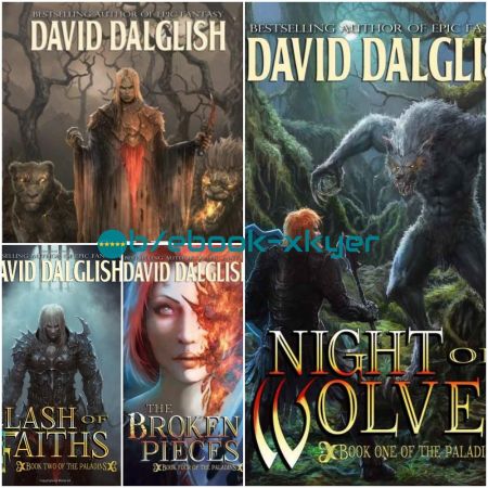Paladins series by David Dalglish