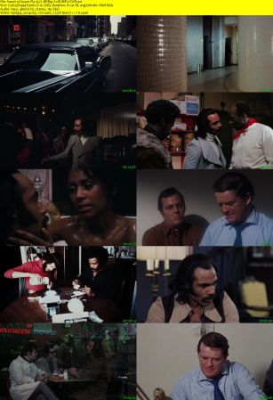 Super Fly 1972 BRRip XviD MP3-XVID
