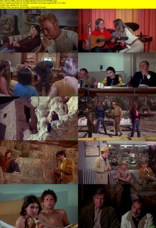 Billy Jack 1971 1080p BluRay H264 AAC-RARBG