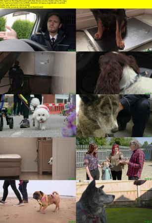 Channel5 - The Dog Rescuers with Alan Davies: Crusty Charlie (2018) x264-TVC