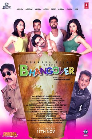 Journey Of Bhangover 2017 Hindi 720p HD x264 Exclusive